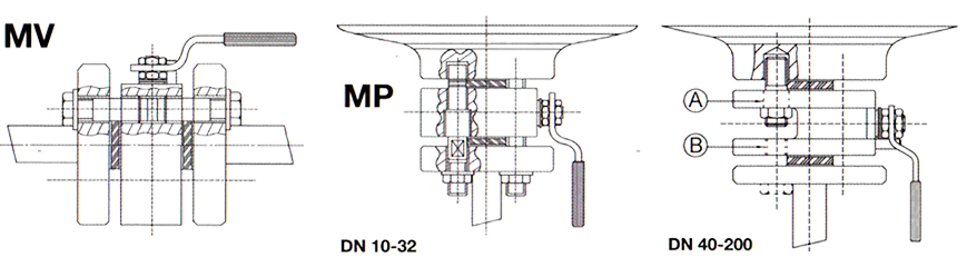 Ipsum
