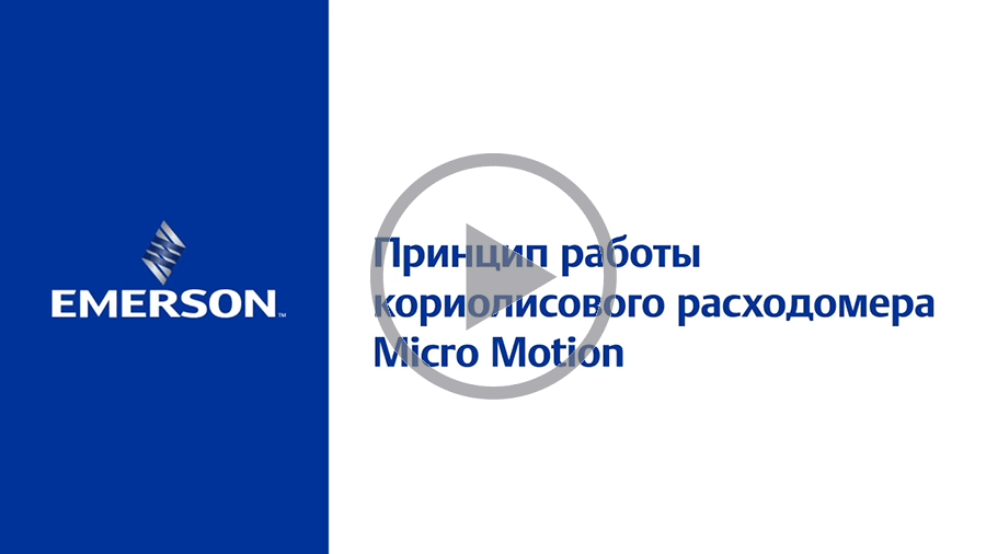 Ipsum